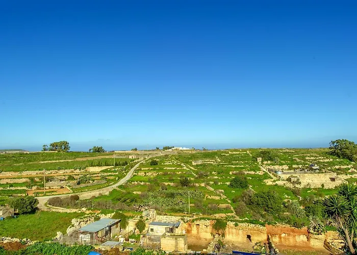 Kır Evi Sulda Brill